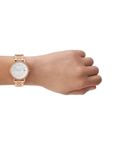 Orologio SKAGEN SIGNATUR LILLE Donna