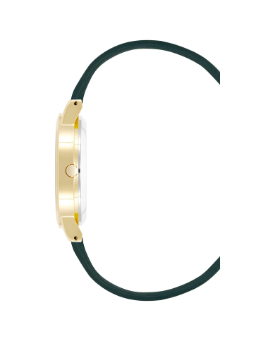 Orologio JUICY COUTURE JC_1344GPGN Donna