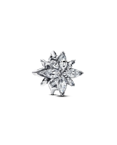 Charm Stella Polare Luminosa | Argento sterling - Pandora