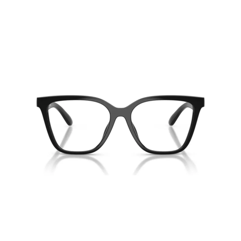 OCCHIALI DA SOLE DONNA EMPORIO ARMANI EA 4254U WITH CLIP ON