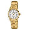 Orologio CASIO COLLECTION LADY DATE, GOLD - WHITE Donna