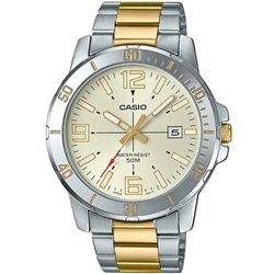 Orologio CASIO SPORT COLLECTION DIVER 50M TWO TONES - GOLD Uomo