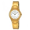 Orologio CASIO COLLECTION ONLY TIME LADY GOLD - WHITE Donna
