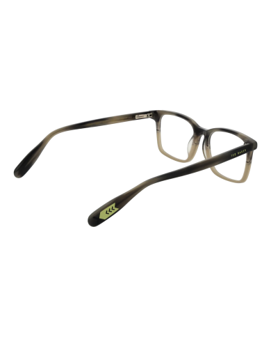 MONTATURE DA VISTA  TED BAKER TBB973 48960