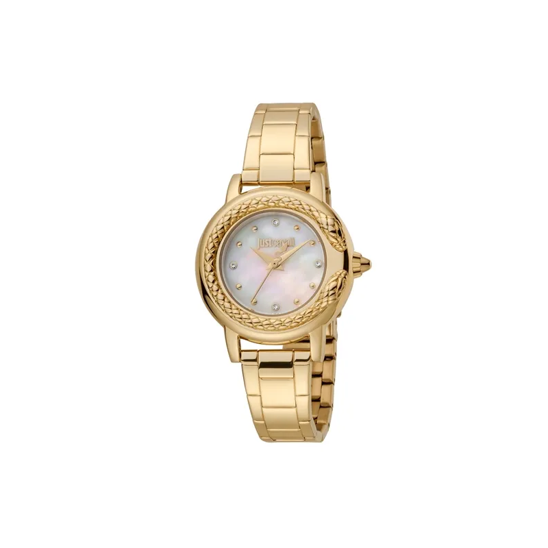 Orologio JUST CAVALLI TIME WATCHES JC1L151M0065 