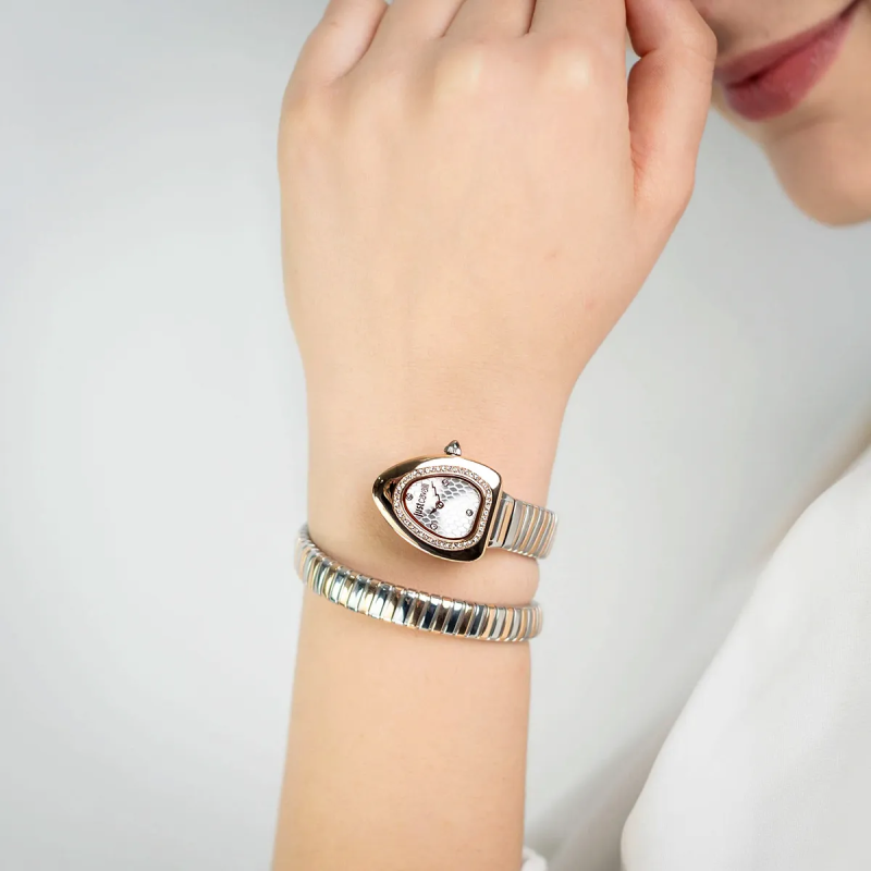 Orologio JUST CAVALLI TIME WATCHES JC1L249M0065 